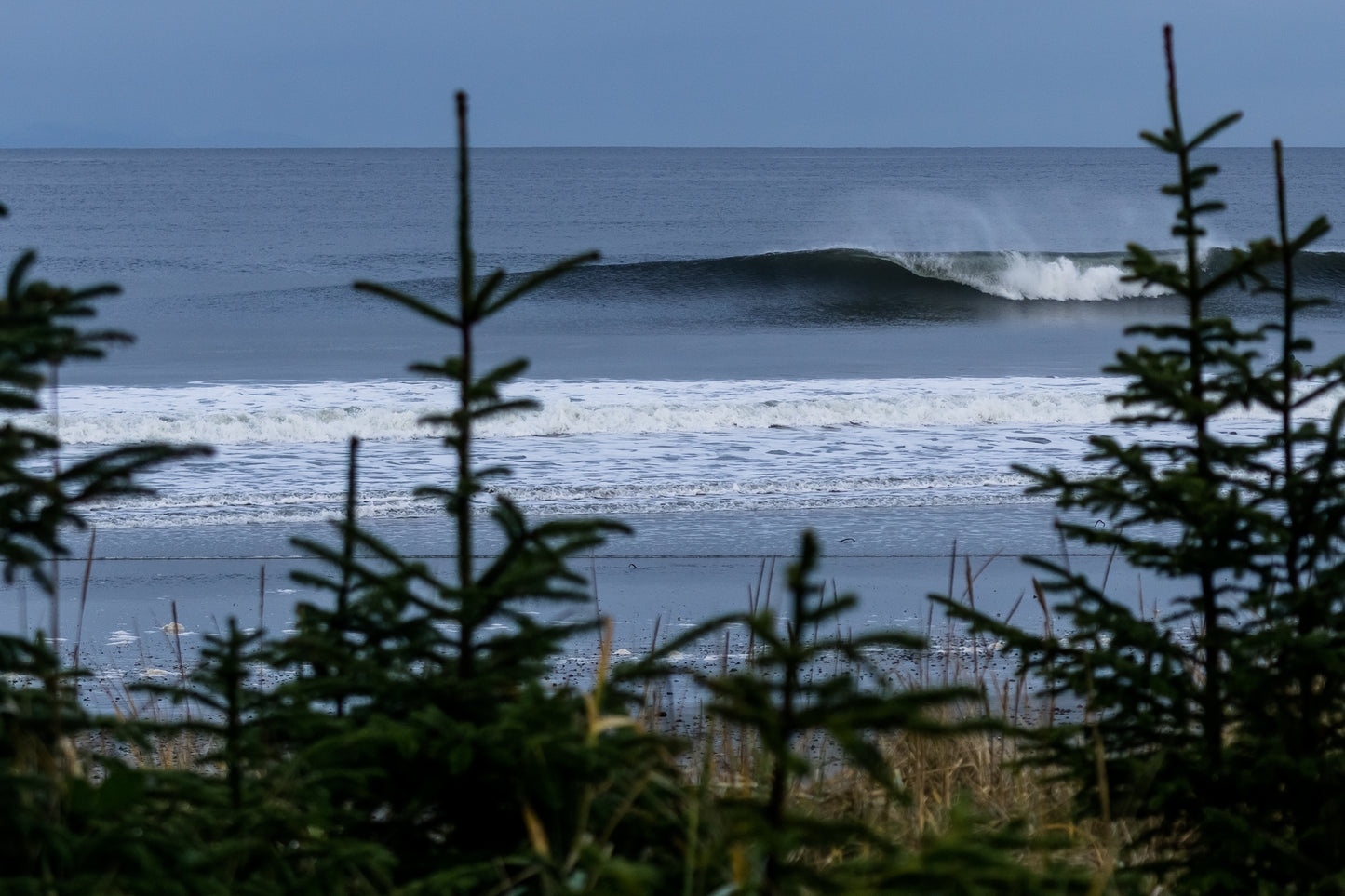 Beyond the Pines- A photograph by Mark McInnis.
