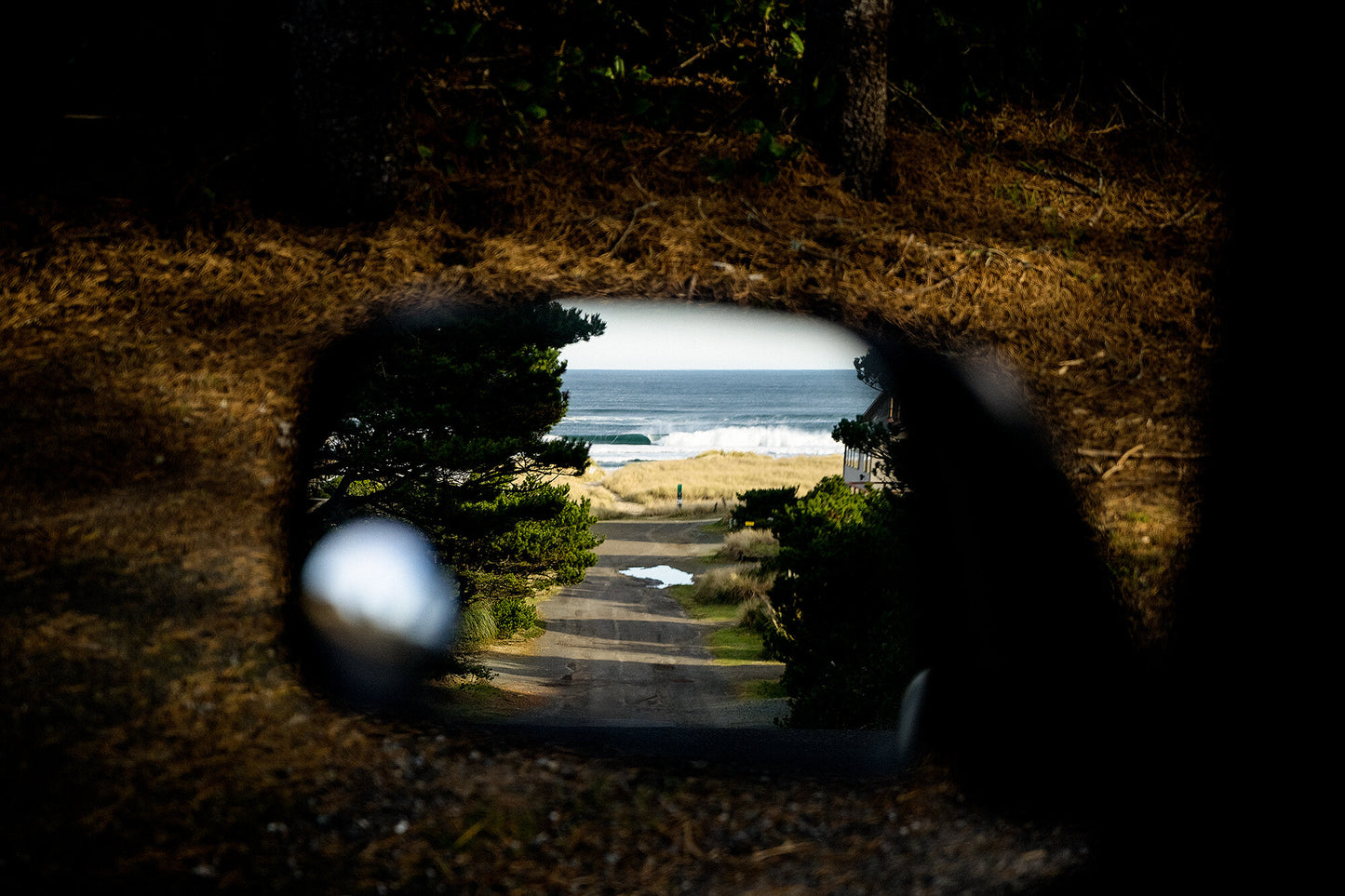Don't Look Back- A photograph by Mark McInnis.