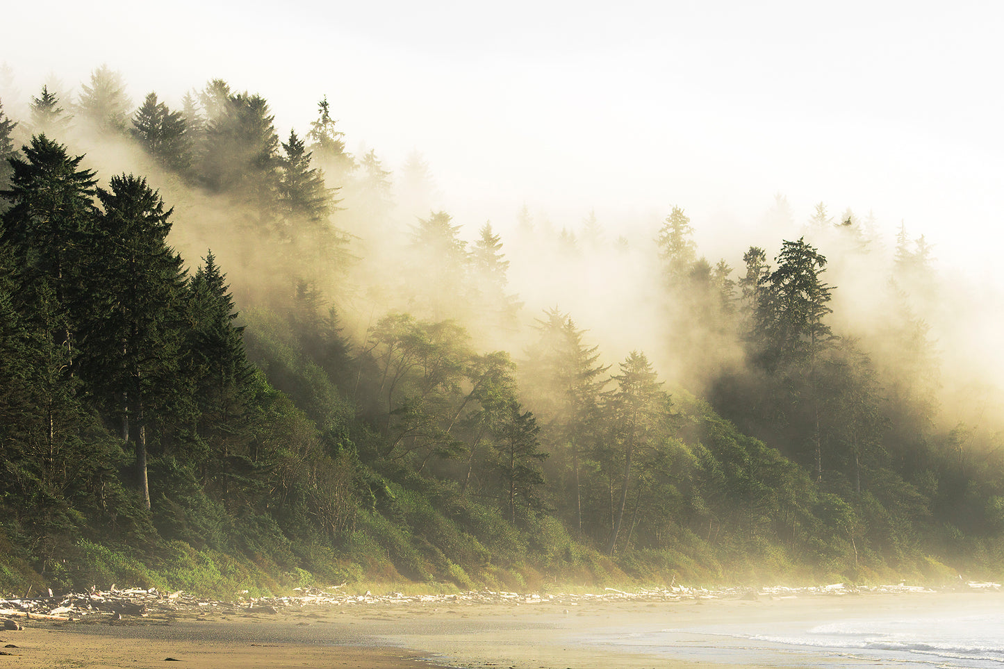 Yellow Banks, a print by Mark McInnis Photography