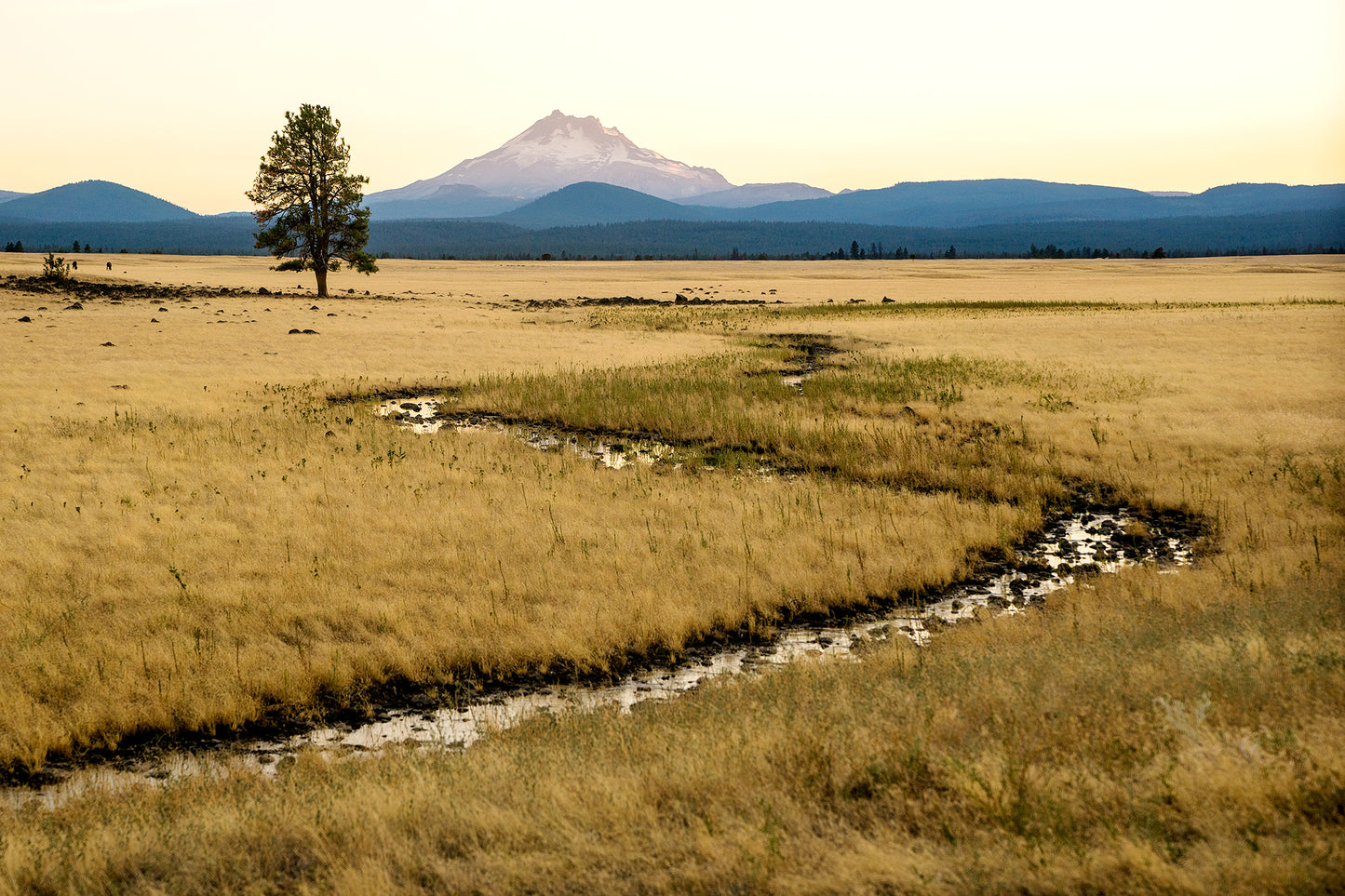 Homeward Bound- A photograph by Mark McInnis.