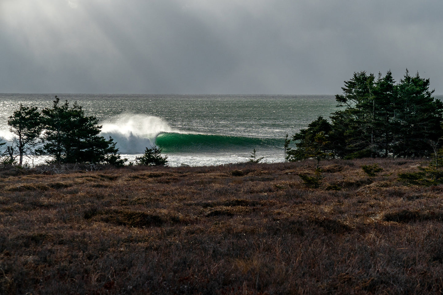 Dare to Drop- A photograph by Mark McInnis.