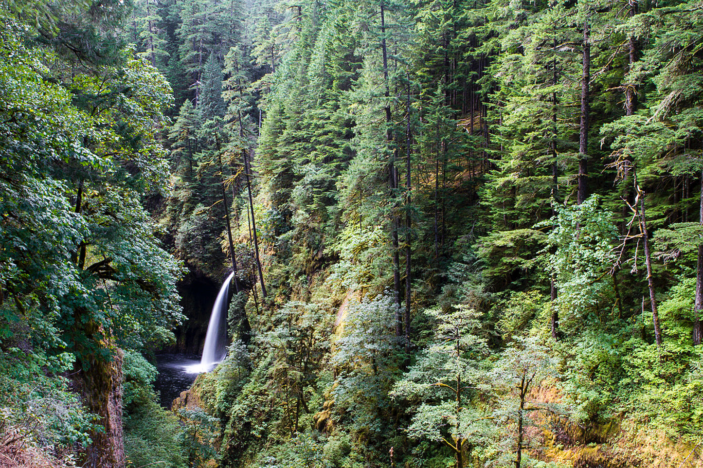 Gorgeous Gorge- A photograph by Mark McInnis