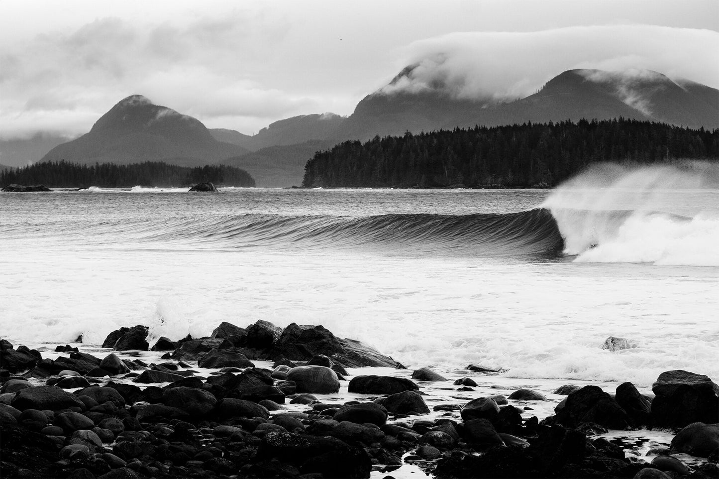 The Lucky One- A photograph by Mark McInnis.