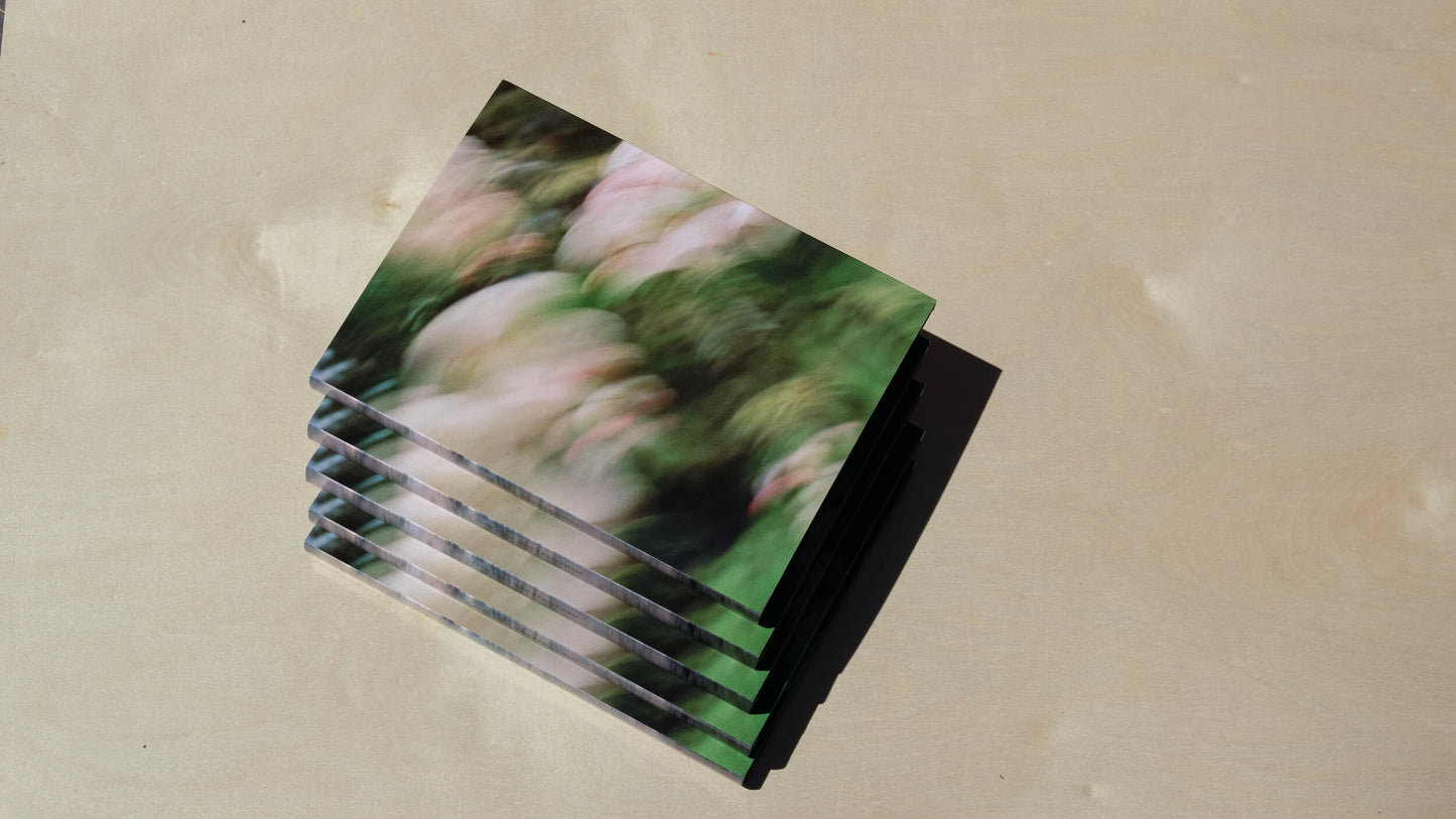 Upriver- A photography book by Mark McInnis- Slip cover