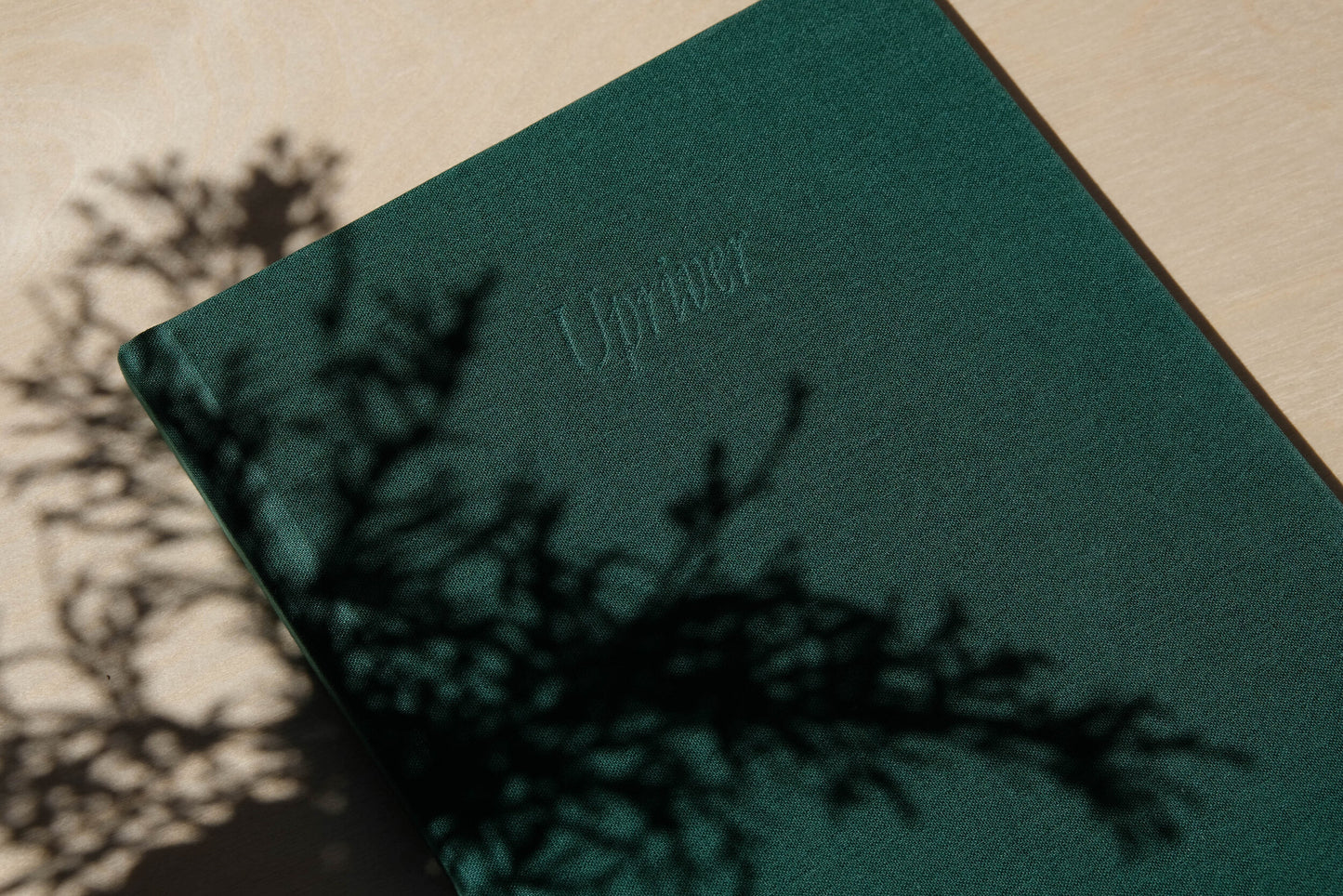 Upriver- A photography book by Mark McInnis- Zoomed in on front cover.