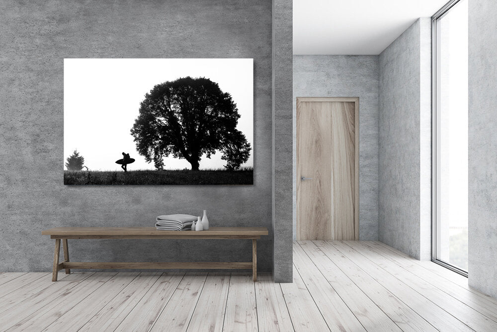 Solo Search- A photograph by Mark McInnis above a bench.