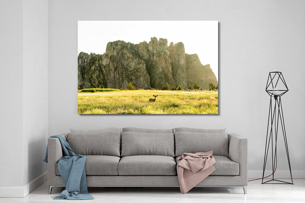Caught by Surprise- A photograph by Mark McInnis above a couch.