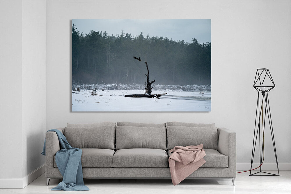 Takeoff!- A photograph by Mark McInnis above a grey couch.