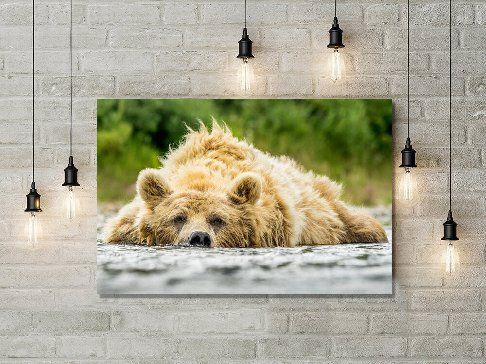 Salmon Induced Snooze- A photograph by Mark McInnis hung on a brick wall.