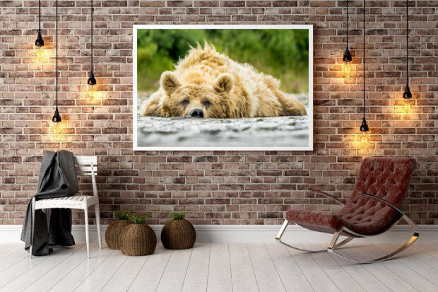 Salmon Induced Snooze- A photograph by Mark McInnis hung on a brick wall surrounded by lights.