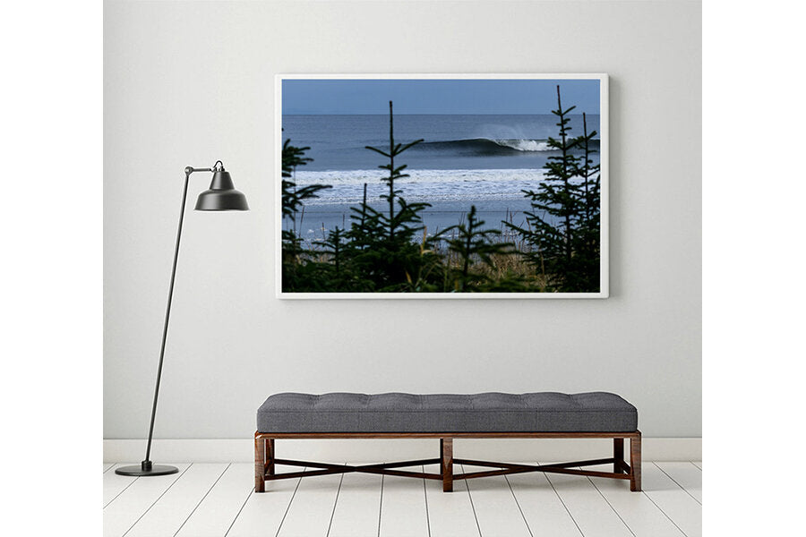 Beyond the Pines- A photograph by Mark McInnis in a white frame above a bench.