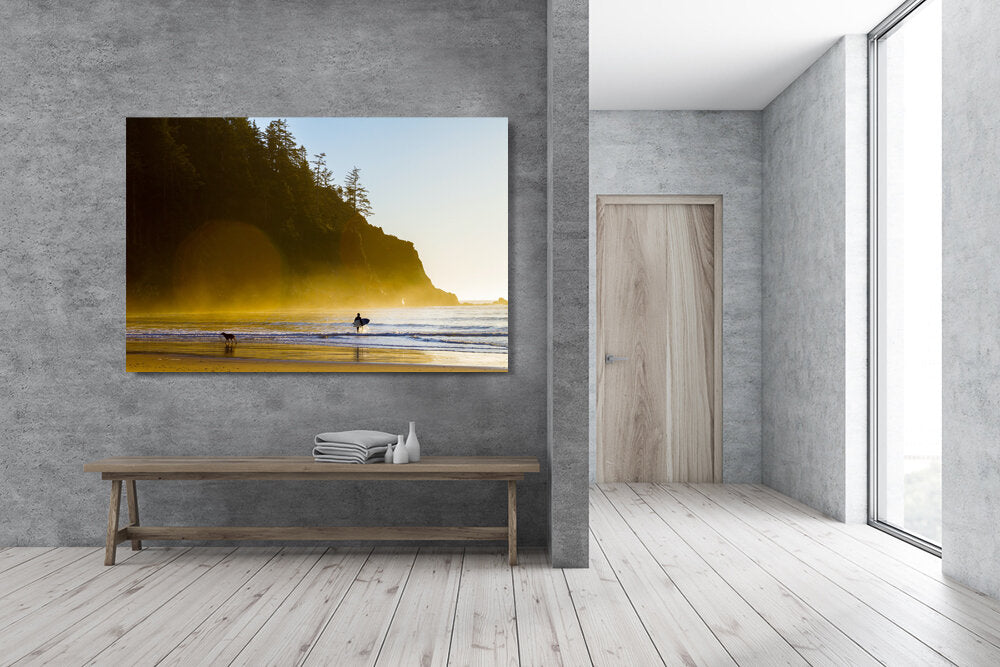 Man's Best Friend- A photograph by Mark McInnis above a bench.