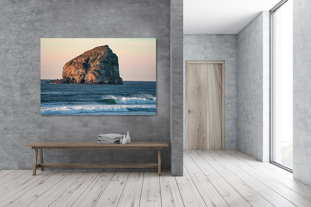 Last Ditch Effort- A photograph by Mark McInnis above a bench.