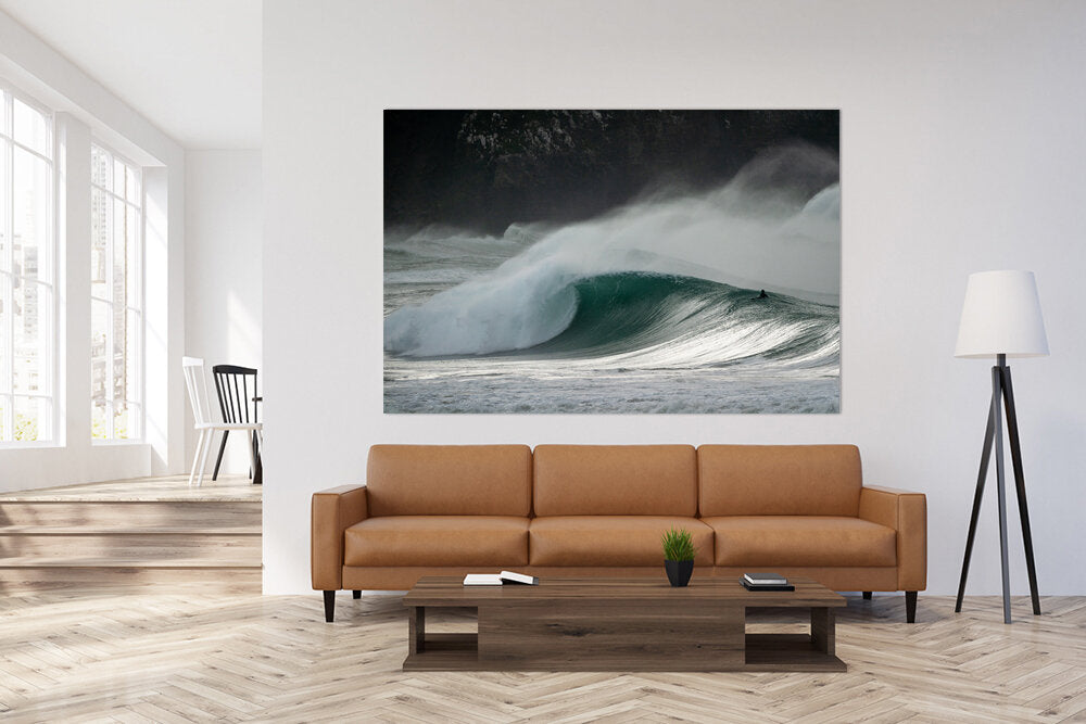 Burgess Bay Bully- A photograph by Mark McInnis above a couch.