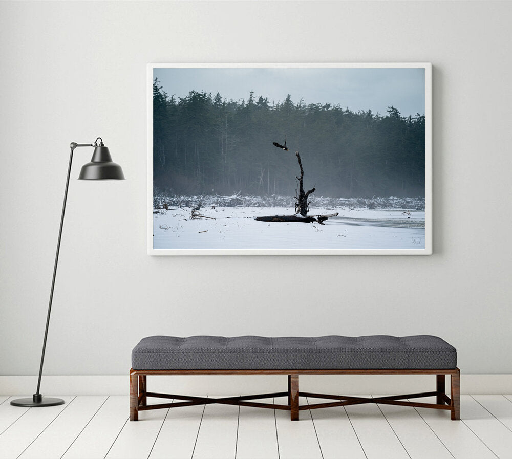 Takeoff!- A photograph by Mark McInnis in a white frame, above a bench.