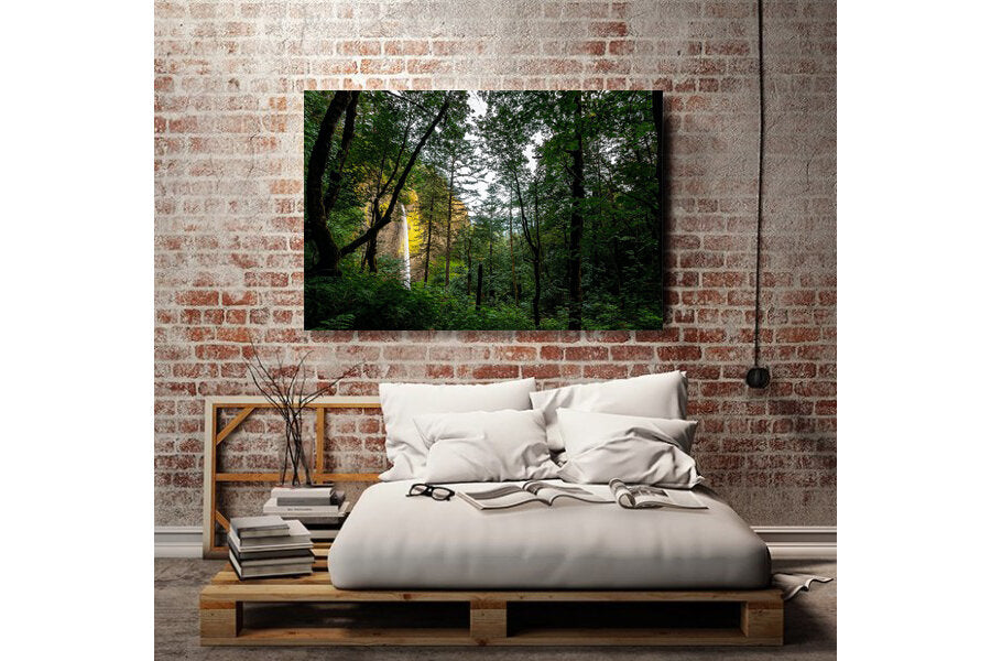 Through the Old Growth- A photograph by Mark McInnis hung on a brick wall, above a bed.