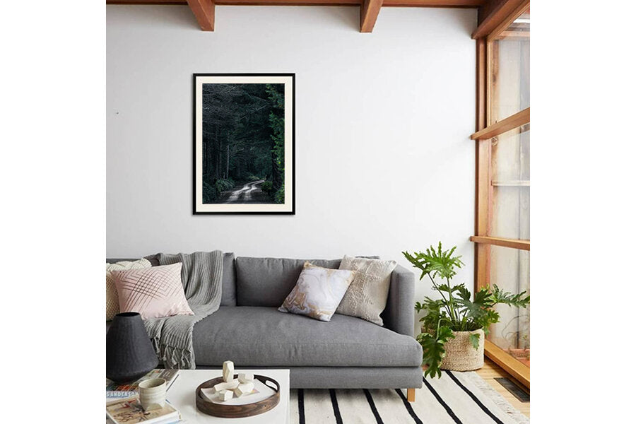 Pavement is Overrated- A photograph by Mark McInnis in a black frame, above a couch.